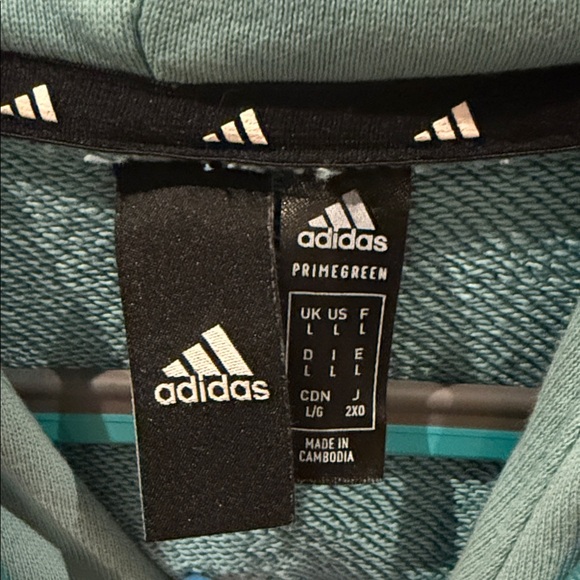 Teal Hoodie with White Logo - Picture 4 of 4